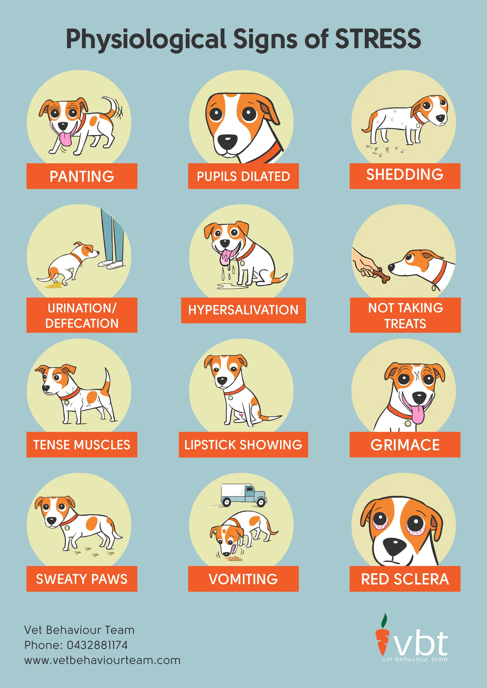 What your dog's body can tell you