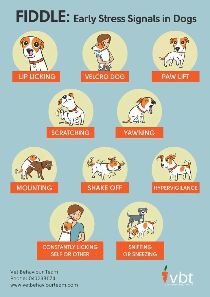 Early stress signs in dogs