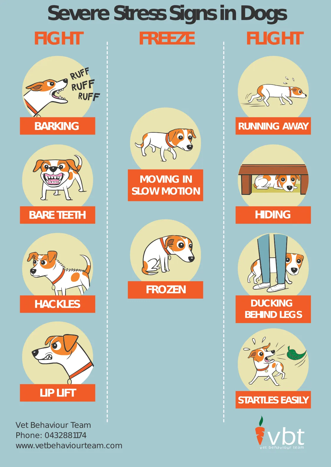 Severe stress signs in dogs